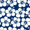 Tropical Hibiscus